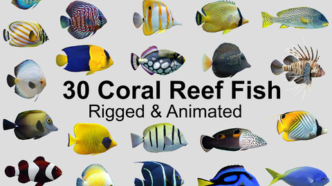 Coral Reef Fish Collection Animated - Game Ready pack 8