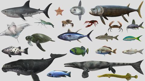 Fish Collection Animated - Game Ready Pack 4