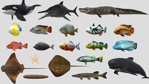 Fish Collection Animated - Game Ready Pack 5