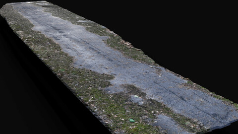 forest asphalt damaged road lost path photogrammetry