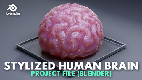 Stylized Human Brain - Project File Blender