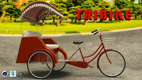 Tribike 8K