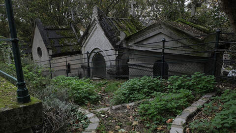 Vegetation Cemetery