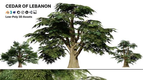 Game Ready Cedar of Lebanon Trees 3d assets