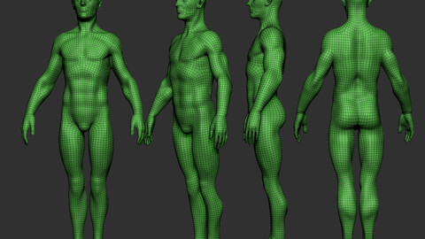 Average Male Basemesh