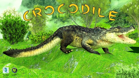 Crocodile