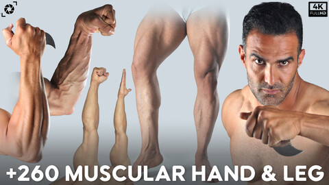 +260 Muscular Hands & Legs - Vol 02