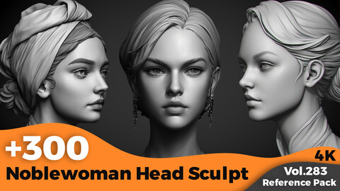 +300 Noblewoman Head Sculpt Reference Images(4k)