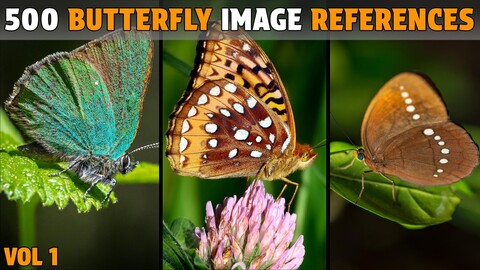 500 Butterfly Photo References - Vol 1