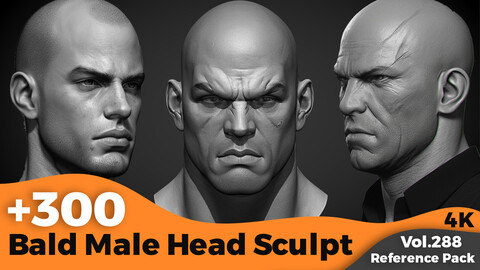 +300 Bald Male Head Sculpt Reference Images(4k)