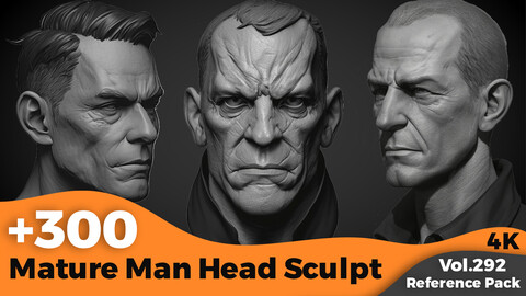 +300 Mature Man Head Sculpt Reference Images(4k)