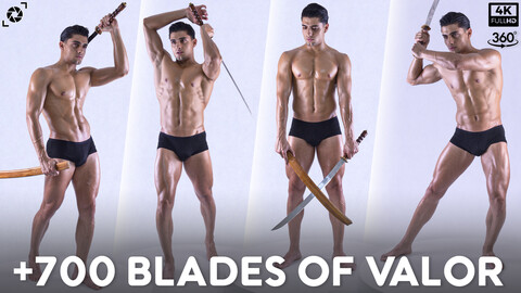 +700 Blades Of Valor References Pictures - Vol 05