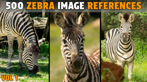 500 Zebra Photo Reference - Vol 1