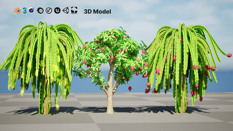 Dragon Fruit Plant 3D Model