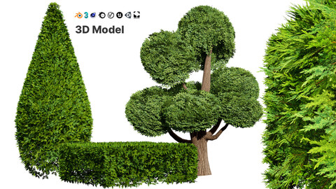 Juniper & Bush 3D Model