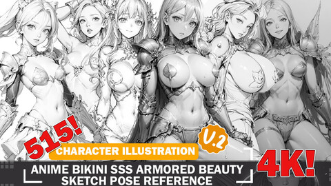 515 Various Anime Fantasy Characters Bikini SSS Armored Beauties Sketch Pose Characters Intricate Designs and Designs Reference Art V2 4K