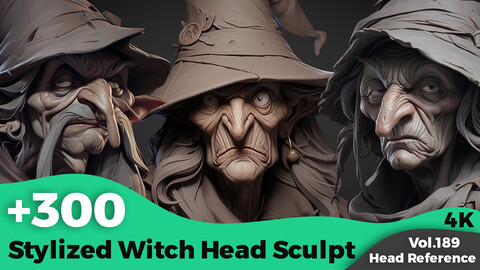 +300 Stylized Witch Head Sculpt Reference Images(4k)