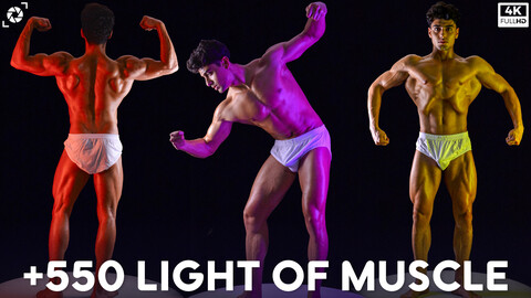 +550 Light Of Muscle References Pictures - Vol 02