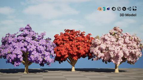 Jacaranda Tree Model