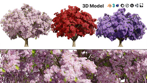 Jacaranda Tree Model