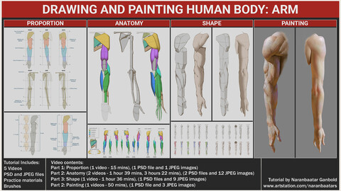 Drawing and Painting human body: Arm