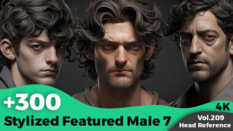 +300 Stylized Featured Male 7 Head Sculpt Reference Images(4k)