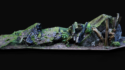 destroyed ww2 bunker debris moss photogrammetry