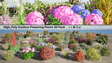 High-Poly Flowering Plants 3D Collection 01