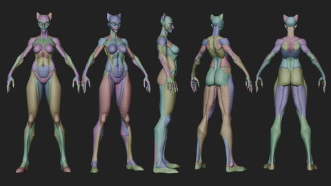 Super Female Character Blockout