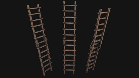 Ladder