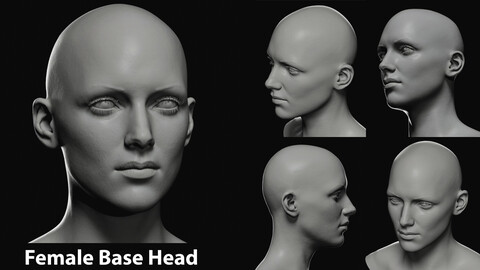 Female Base Head