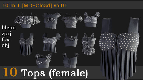 10 Tops(female)[fbx+obj+zprj+blend][clo+md]10 in1