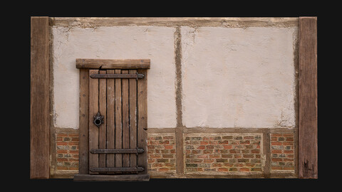 Medieval Door and Wall