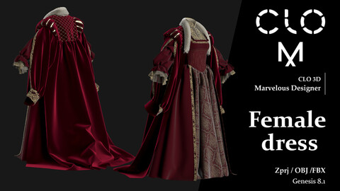 Female dress / Marvelous Designer/Clo3D project file + OBJ, FBX