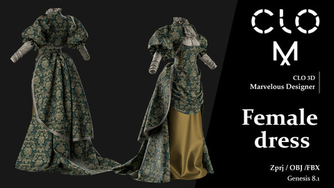 Female dress / Marvelous Designer/Clo3D project file + OBJ, FBX