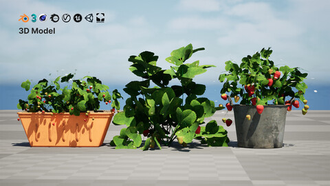 3D Strawberry Plant Collection