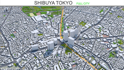 Shibuya Tokyo 10km AI