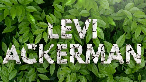 Levi Ackerman custom text effect