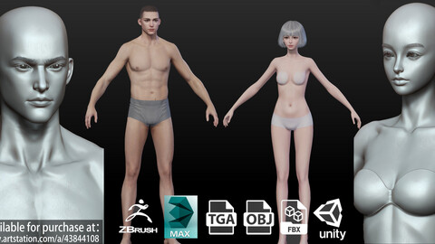 Highpoly Rigged Lowpoly Fantasy human basemesh girl Base female male anatomy woman young Zbursh Highpoly Anatomy pack human cartoon male female torso head body foot hand