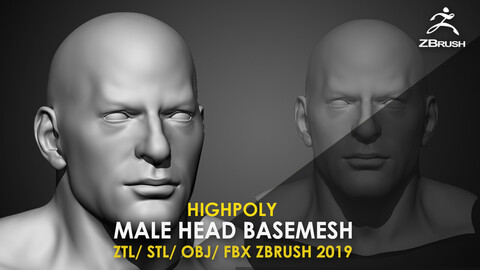 Highpoly Male Head Basemesh Ztl/Stl/Obj/Fbx Zbrush 2019