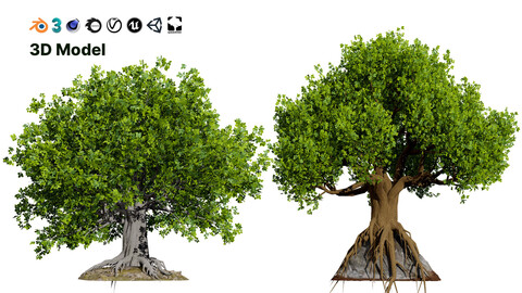 Stylized World Tree 3D Models