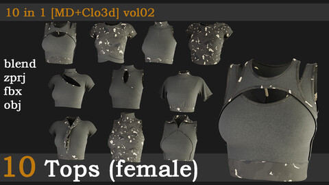 10 Tops(female)[fbx+obj+zprj+blend][md+clo]vol02