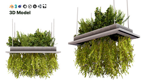 Modern Hanging Planter with Cascading Plants