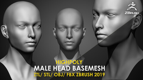 Highpoly Female Head Basemesh Ztl/Stl/Obj/Fbx Zbrush 2019