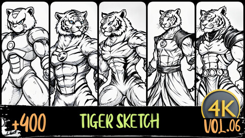 +400 Tiger Sketch Reference Images | Sketch Series Vol.06