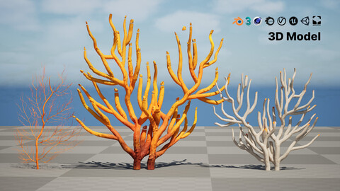 Gorgonian Coral 3D Models Pack with Free Tutorial