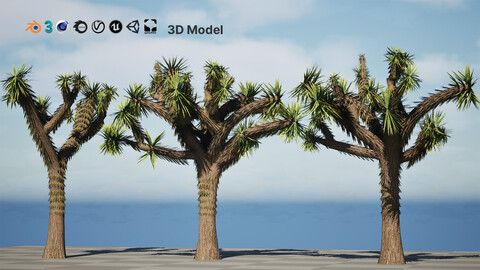 Joshua Tree 3D Models