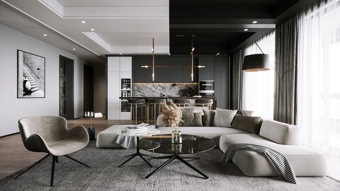 Black and White Apartment