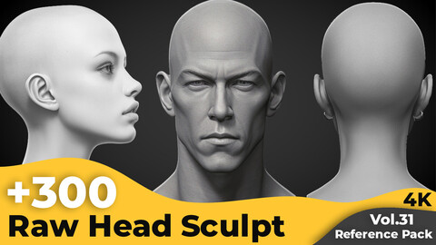 +300 Raw Head Sculpt Reference Images(4k)