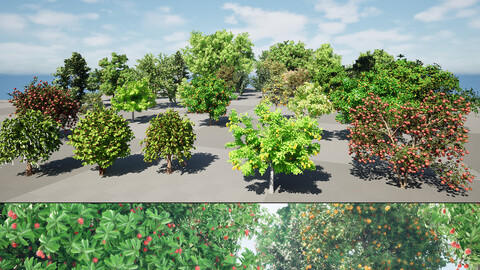 highly detailed Fruit Trees 3D Pack 01